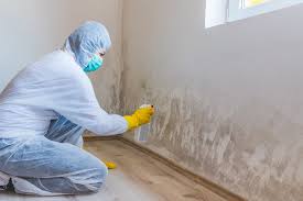 Trusted Hawthorne, CA Mold Removal Services Experts